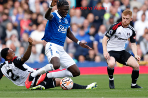 Everton vs Wolves live stream | premier league match on 5/12/2024