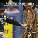 NFR 2024 Live Free National Finals Rodeo Online tv Channel