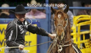 NFR 2024 Live Free National Finals Rodeo Online tv Channel